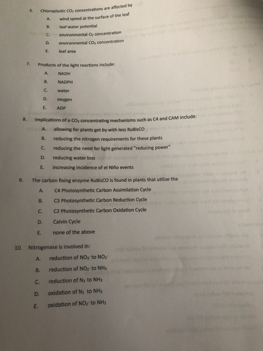 Solved Could you please answer these multiple choice | Chegg.com