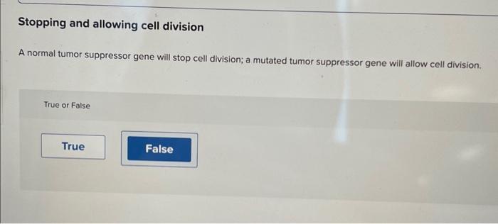 Solved Stopping and allowing cell division A normal tumor | Chegg.com