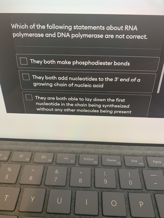 Solved Which Of The Following Statements About RNA | Chegg.com