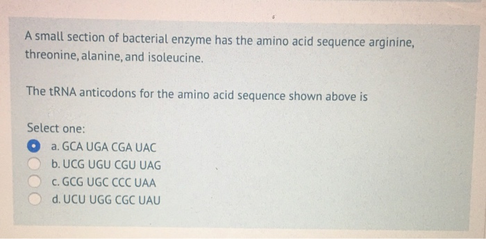Solved A small section of bacterial enzyme has the amino | Chegg.com