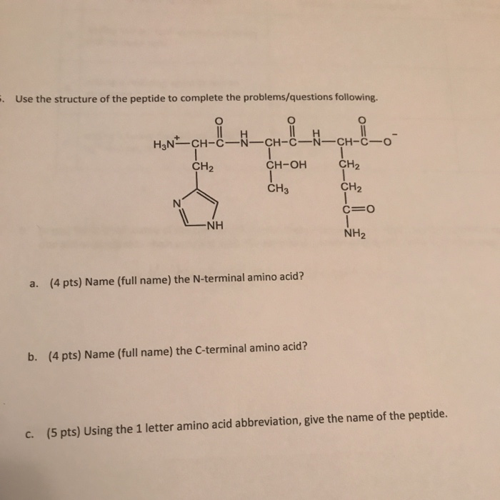 Solved Use The Structure Of The Peptide To Complete The Chegg Com