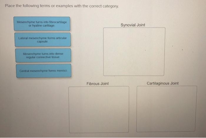 Solved Place the following terms or examples with the | Chegg.com