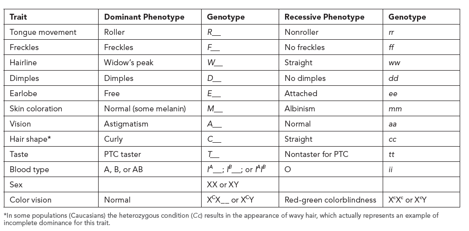 Enter Your Test Results For Genotypes And Phenotypes In Chegg Com