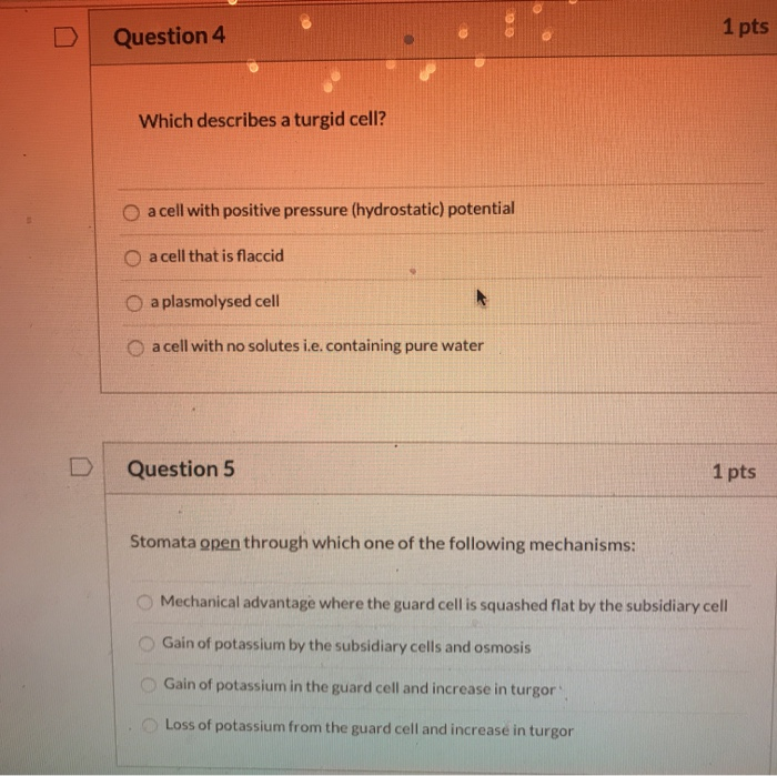 Solved Question 4 1 Pts Which Describes A Turgid Cell O A