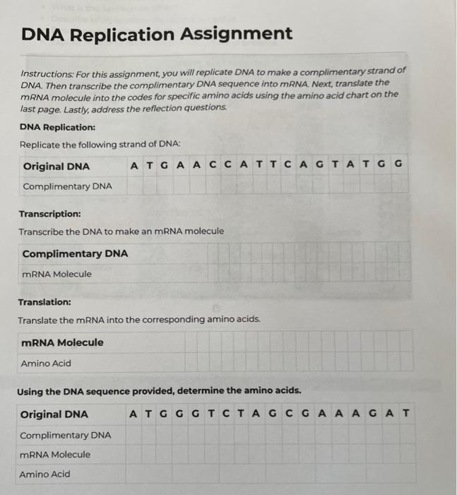 dna replication assignment answers