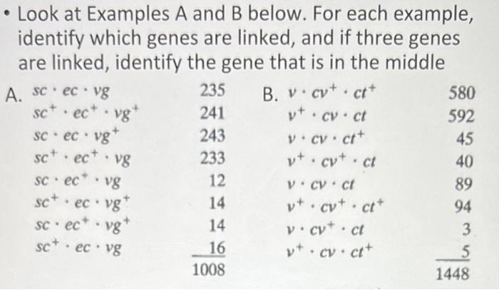 Solved Look At Examples A And B Below. For Each Example, | Chegg.com