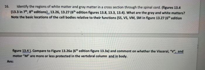 Solved 16. Identify the regions of white matter and gray | Chegg.com