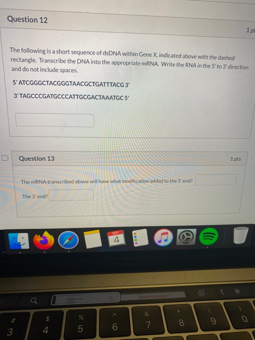 Solved Question 12 1 p The following is a short sequence of | Chegg.com