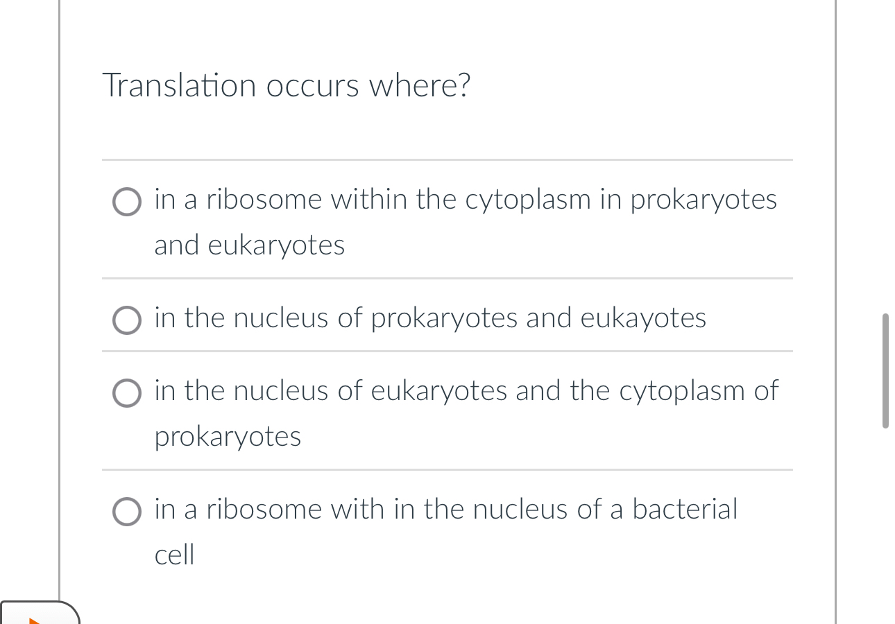Solved Translation occurs where?in a ribosome within the | Chegg.com
