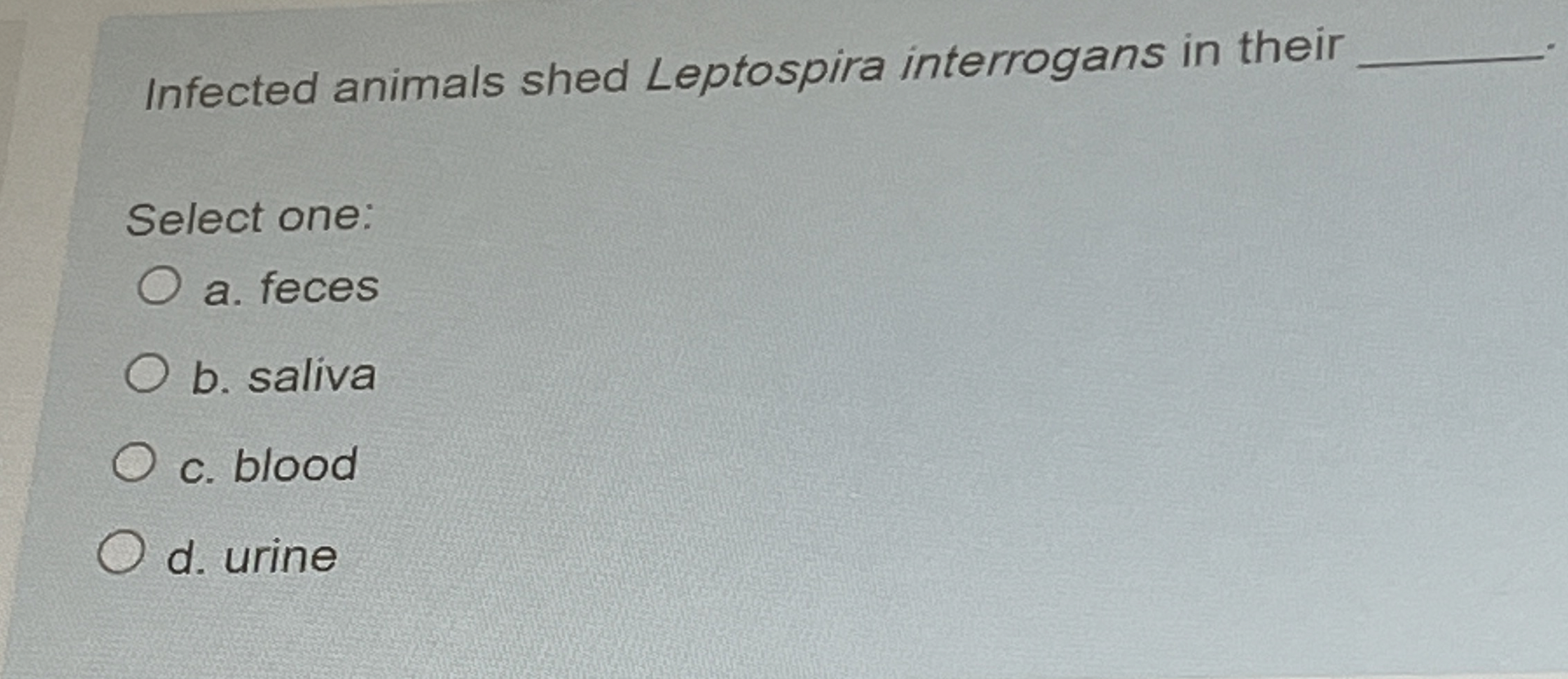 Solved Infected animals shed Leptospira interrogans in their | Chegg.com