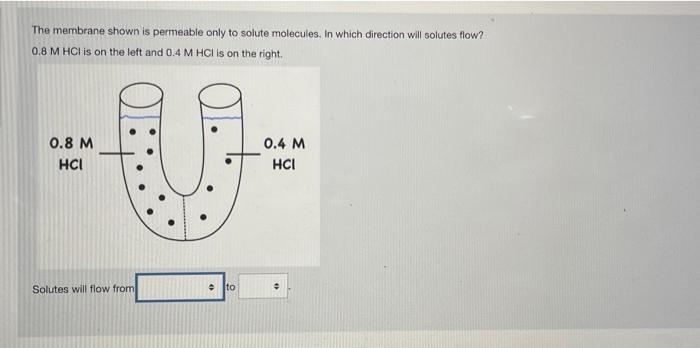 Solved The Membrane Shown Is Permeable Only To Solute | Chegg.com