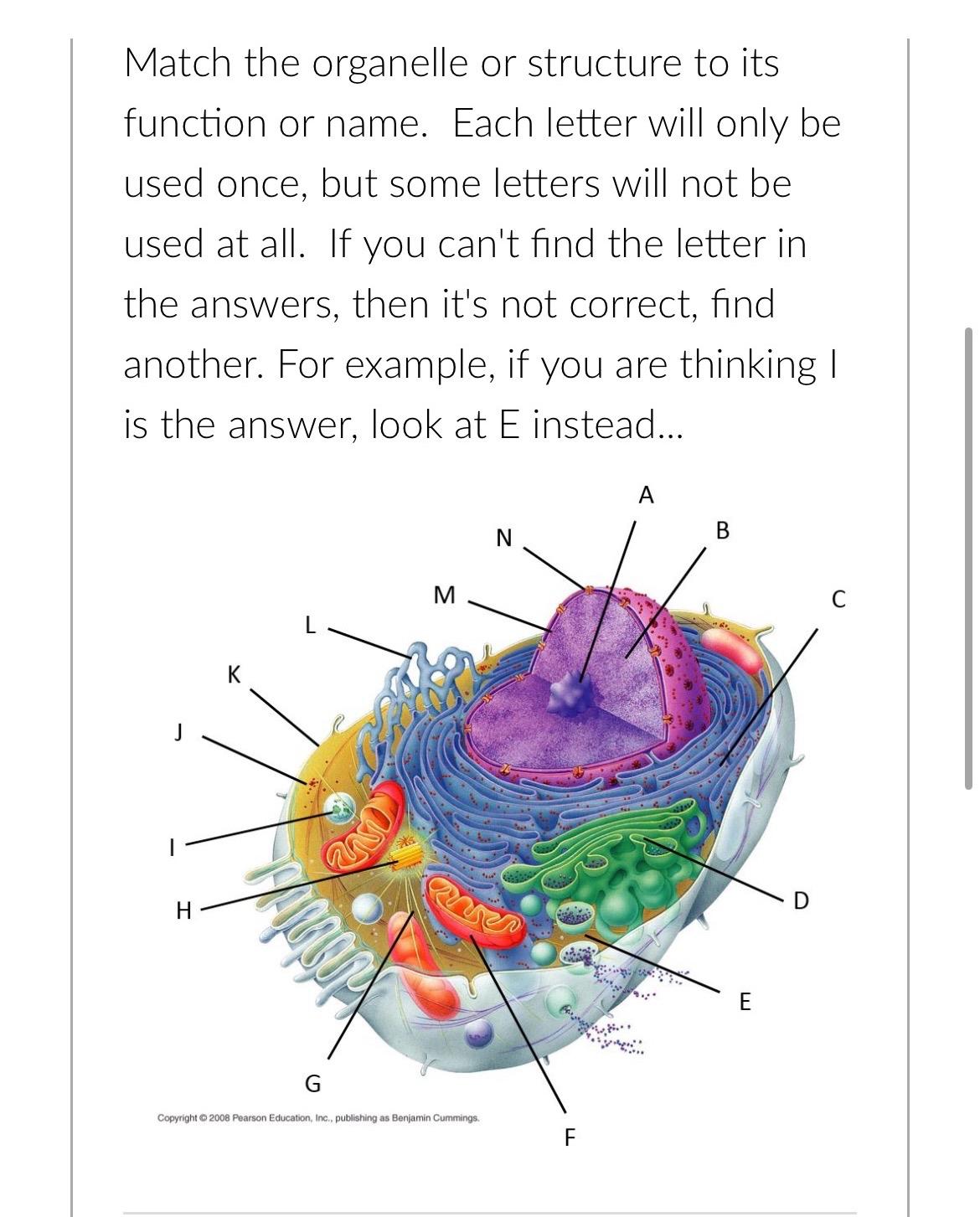 Solved Match the organelle or structure to its function or | Chegg.com