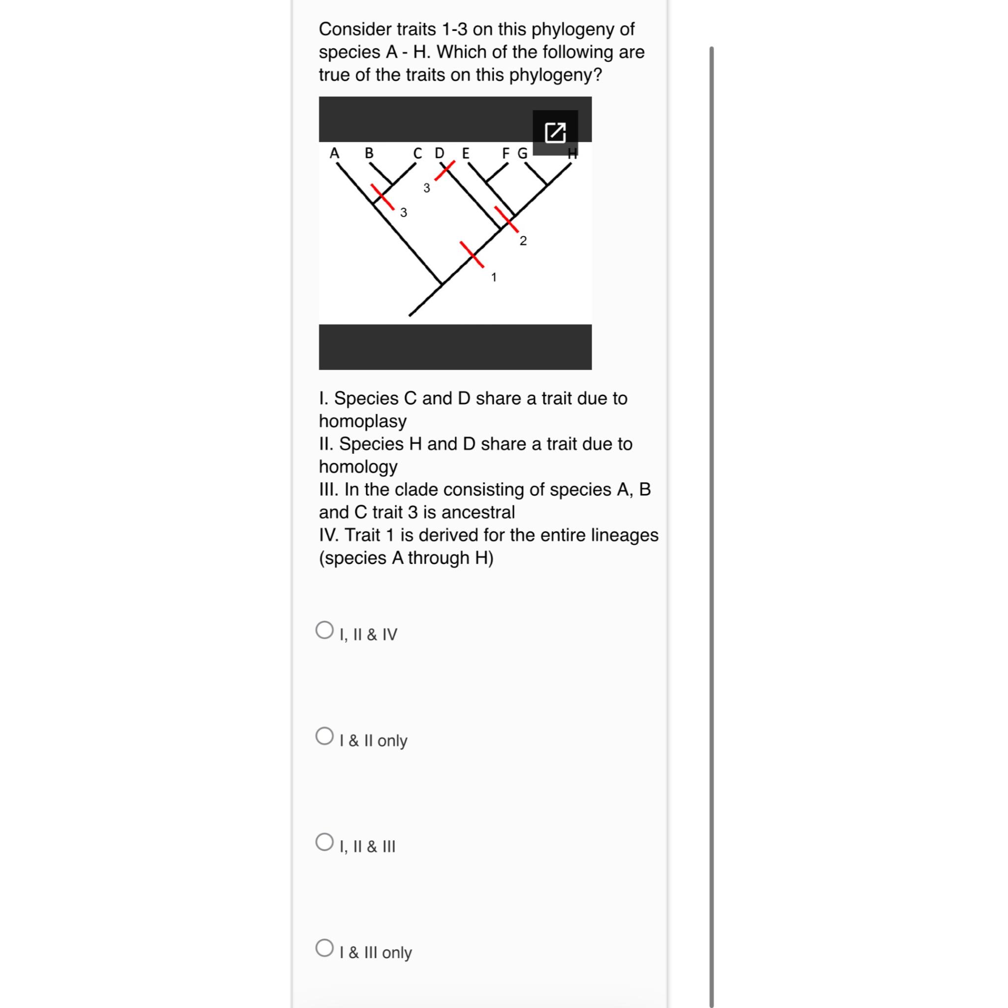 Solved Consider Traits 1-3 ﻿on This Phylogeny Of Species | Chegg.com