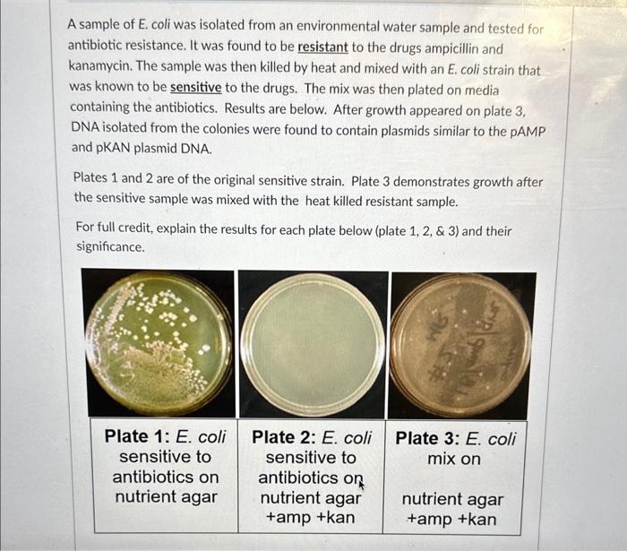 Solved explain the results for each plate below (plate | Chegg.com