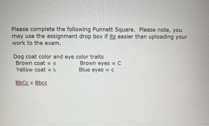 Solved Please complete the following Punnett Square. Please | Chegg.com