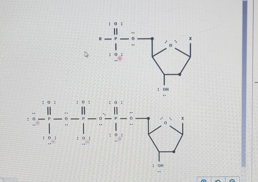 Solved Nucleotides add to the 3' end of a growing DNA chain | Chegg.com
