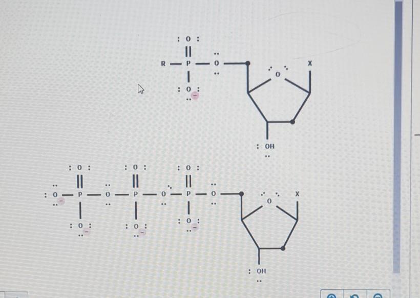 Solved Nucleotides Add To The 3' End Of A Growing DNA Chain | Chegg.com