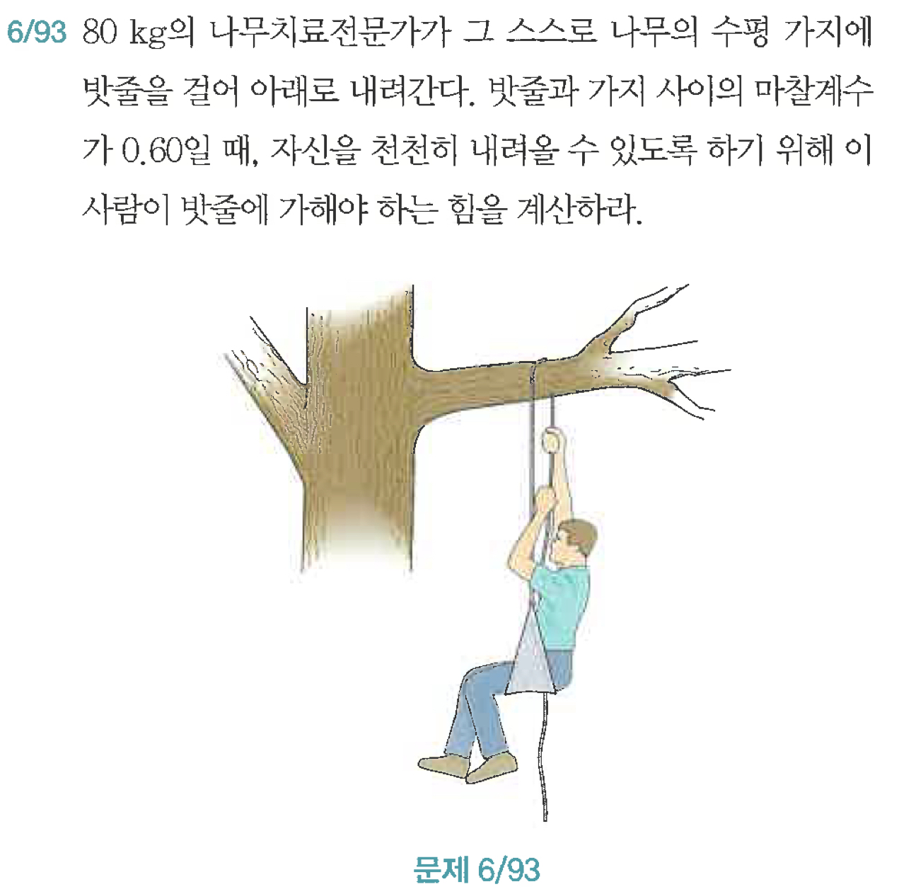 Solved 80kg 의 나무치료전문가가 그 스스로 나무의 수평 가지에 밧줄을 걸어 아래로 내려간다. 밧줄과 | Chegg.com