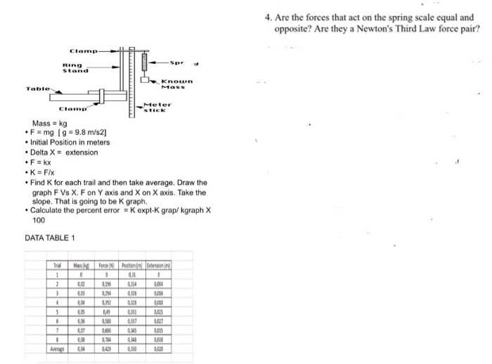 Solved 4. Are the forces that act on the spring scale equal | Chegg.com