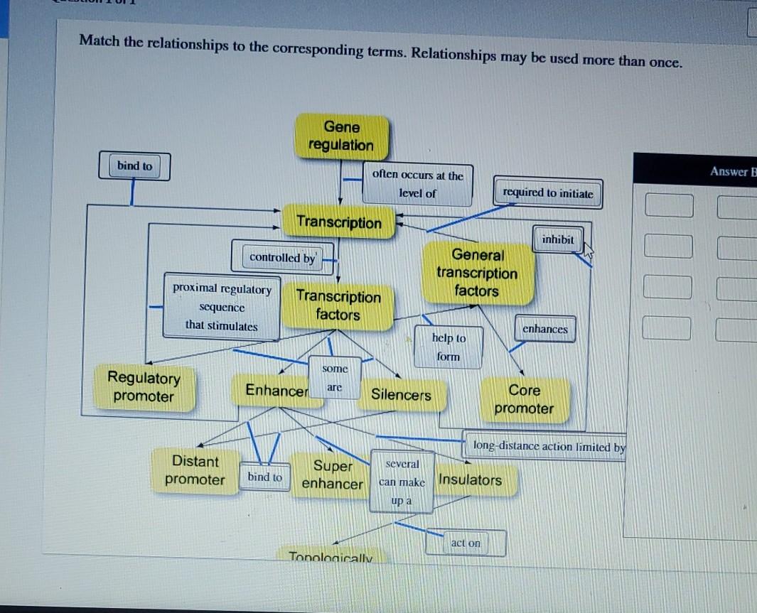 Match The Relationships To The Corresponding Terms. 