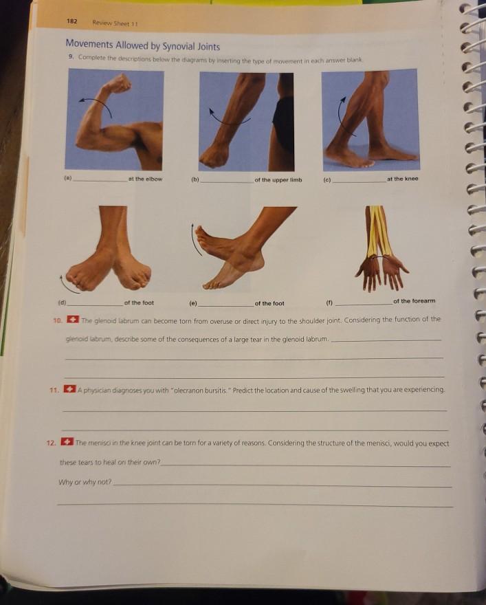Solved complete the descriptions below in the diagrams by