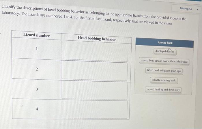 Classify the descriptions of head bobbing behavior as | Chegg.com
