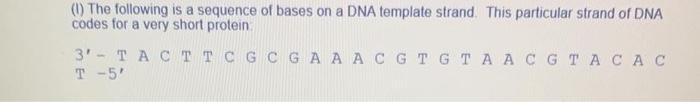 Solved 4- how many amino acids will this protein be made of | Chegg.com
