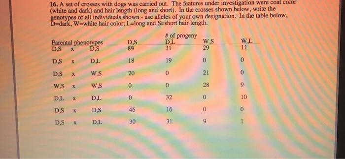 Solved 16 A Set Of Crosses With Dogs Was Carried Out Th