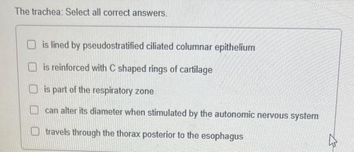 The trachea: Select all correct answers. is lined by | Chegg.com