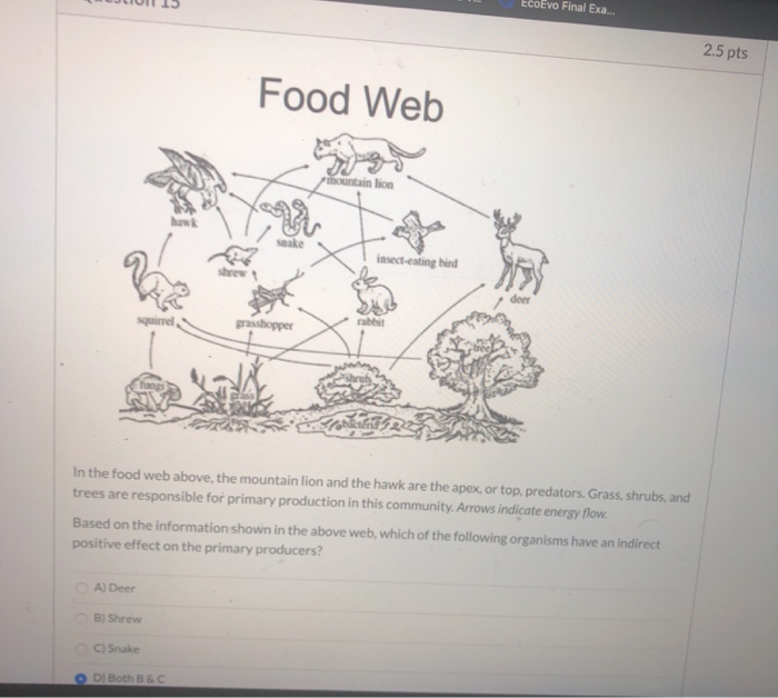 Solved ULUI 15 EcoEvo Final Exa... 2.5 pts Food Web mountain | Chegg.com