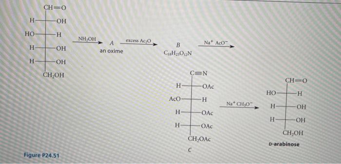 Solved 24.51 The Wohl degradation, shown in Fig. P24.51, can | Chegg.com