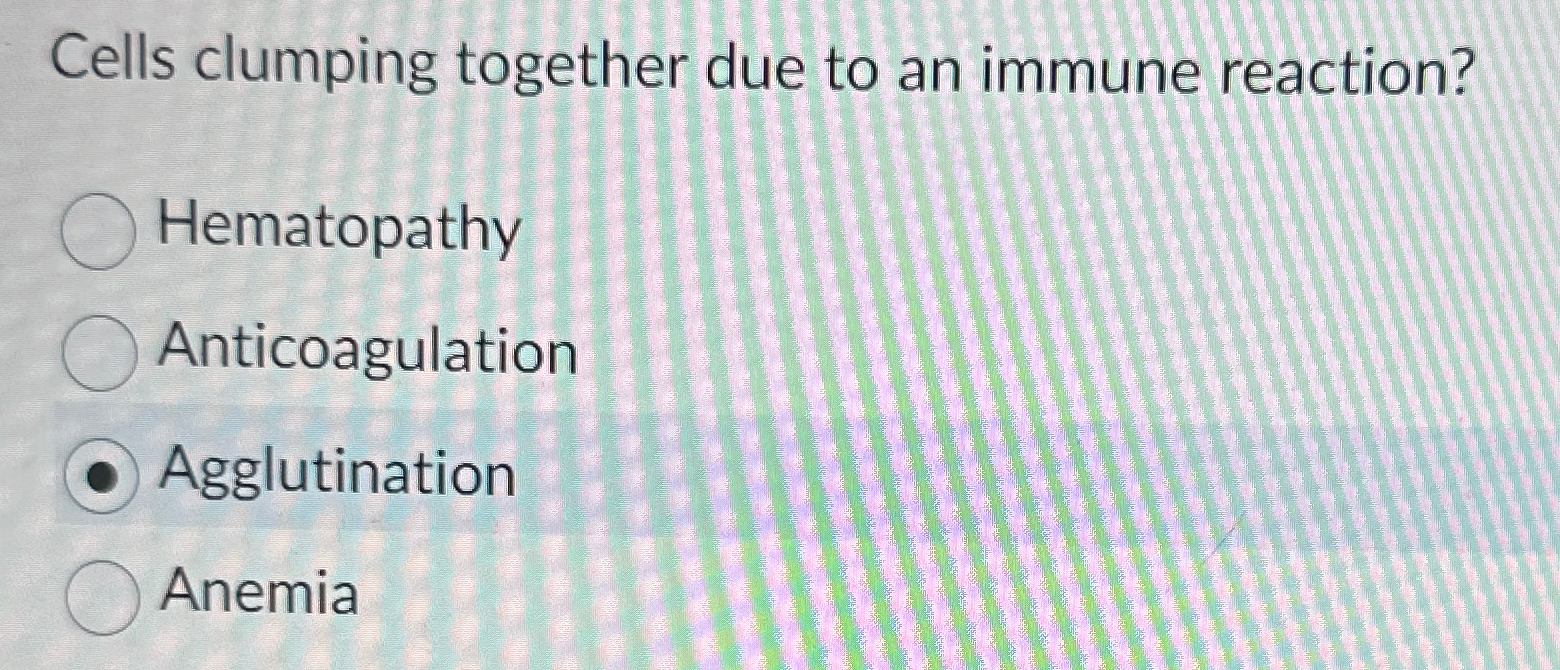 Solved Cells clumping together due to an immune | Chegg.com