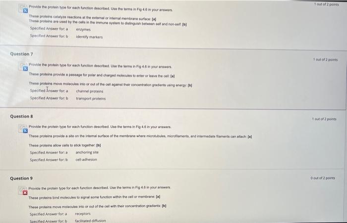 Solved Figure 4.6 Plasma Membrane Proteins. The major | Chegg.com