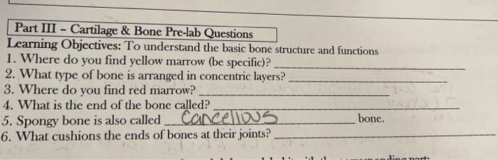 Solved Part III - Cartilage & Bone Pre-lab Questions | Chegg.com