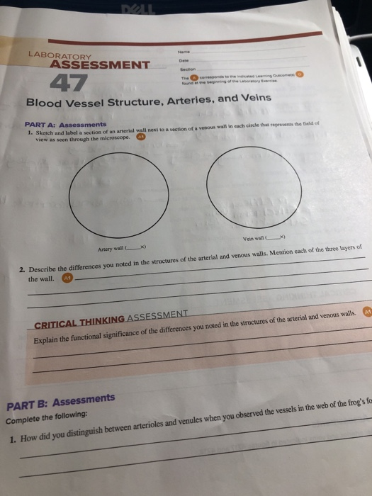 Name Laboratory Assessment Date Section 47 The Cor Chegg Com