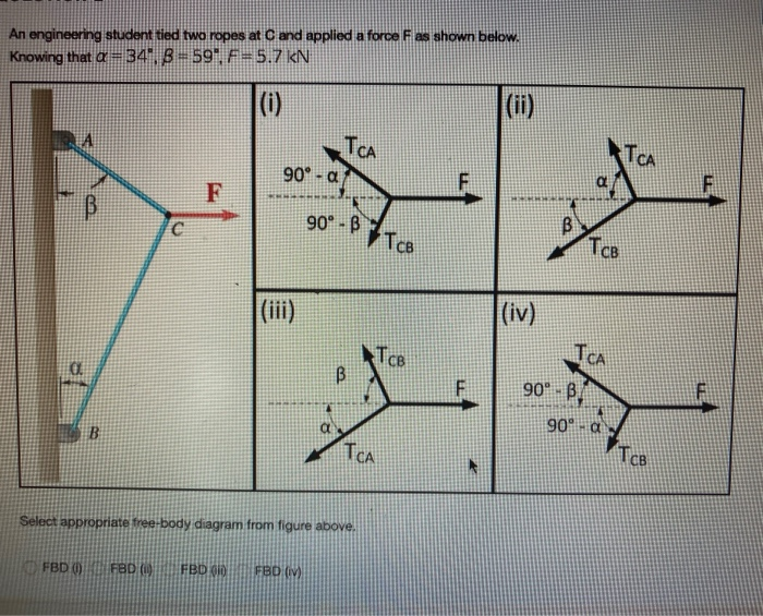 Solved An engineering student tied two ropes at C and | Chegg.com