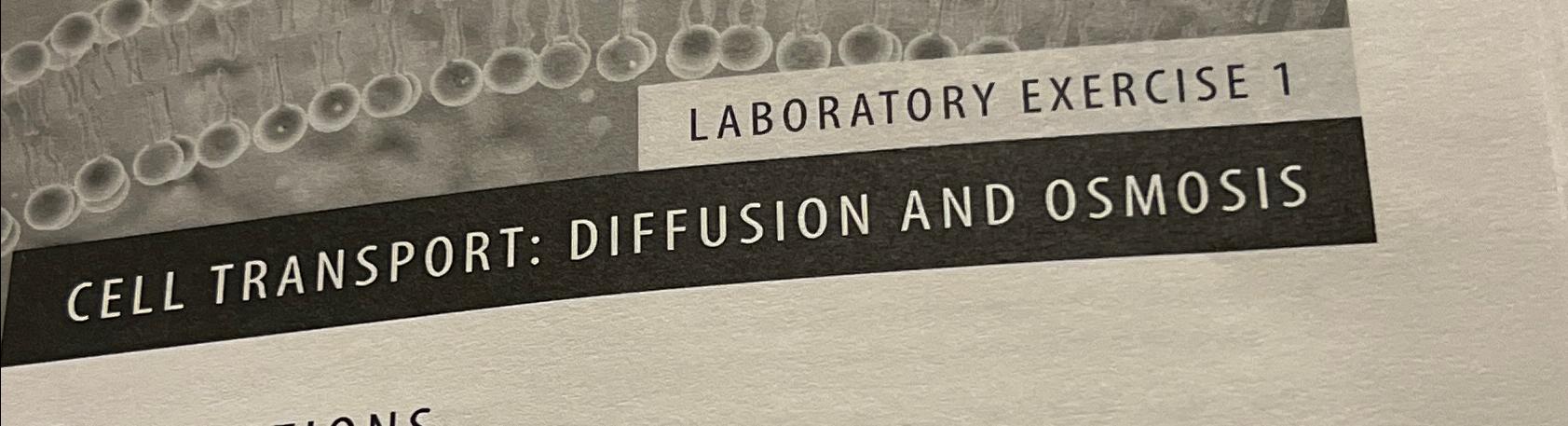 Solved LABORATORY EXERCISE 1CELL TRANSPORT: DIFFUSION AND | Chegg.com