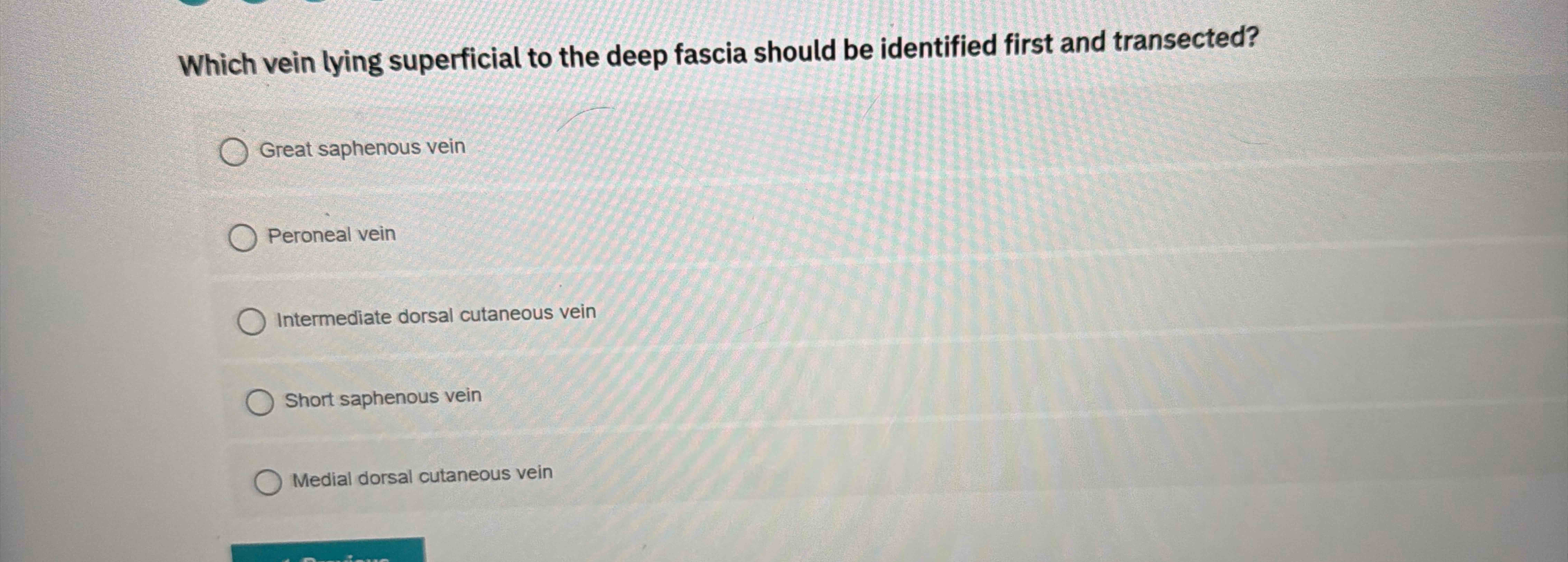 Solved Which vein lying superficial to the deep fascia | Chegg.com