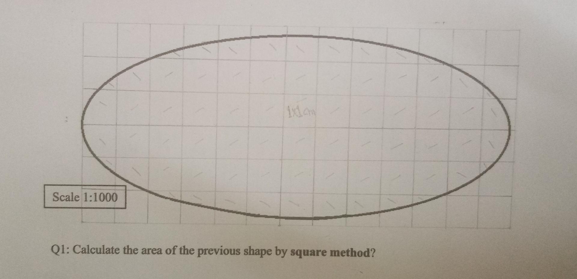 Solved Calculate the area of the shape. Note: number of | Chegg.com