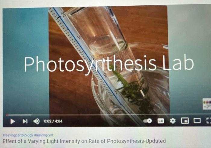Photosynthesis Lab 0:02/ 4:04 се leavingcertbiology leavingcent Effect of a Varying Light Intensity on Rate of Photosynthesis