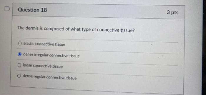 type of connective tissue in dermis