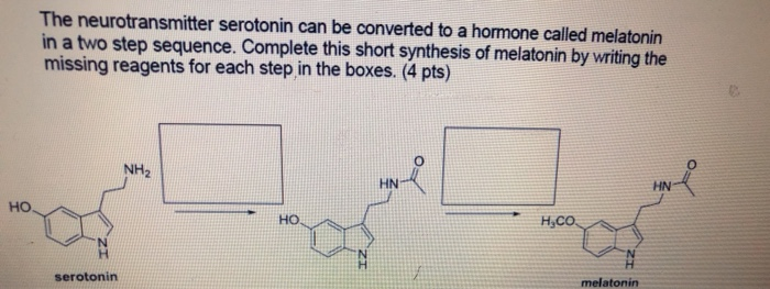 Solved The neurotransmitter serotonin can be converted to a | Chegg.com