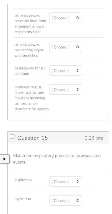 air passageway:
prevents food from
entering the lower
respiratory tract
air passageway:
connecting larynx
with bronchus
passa