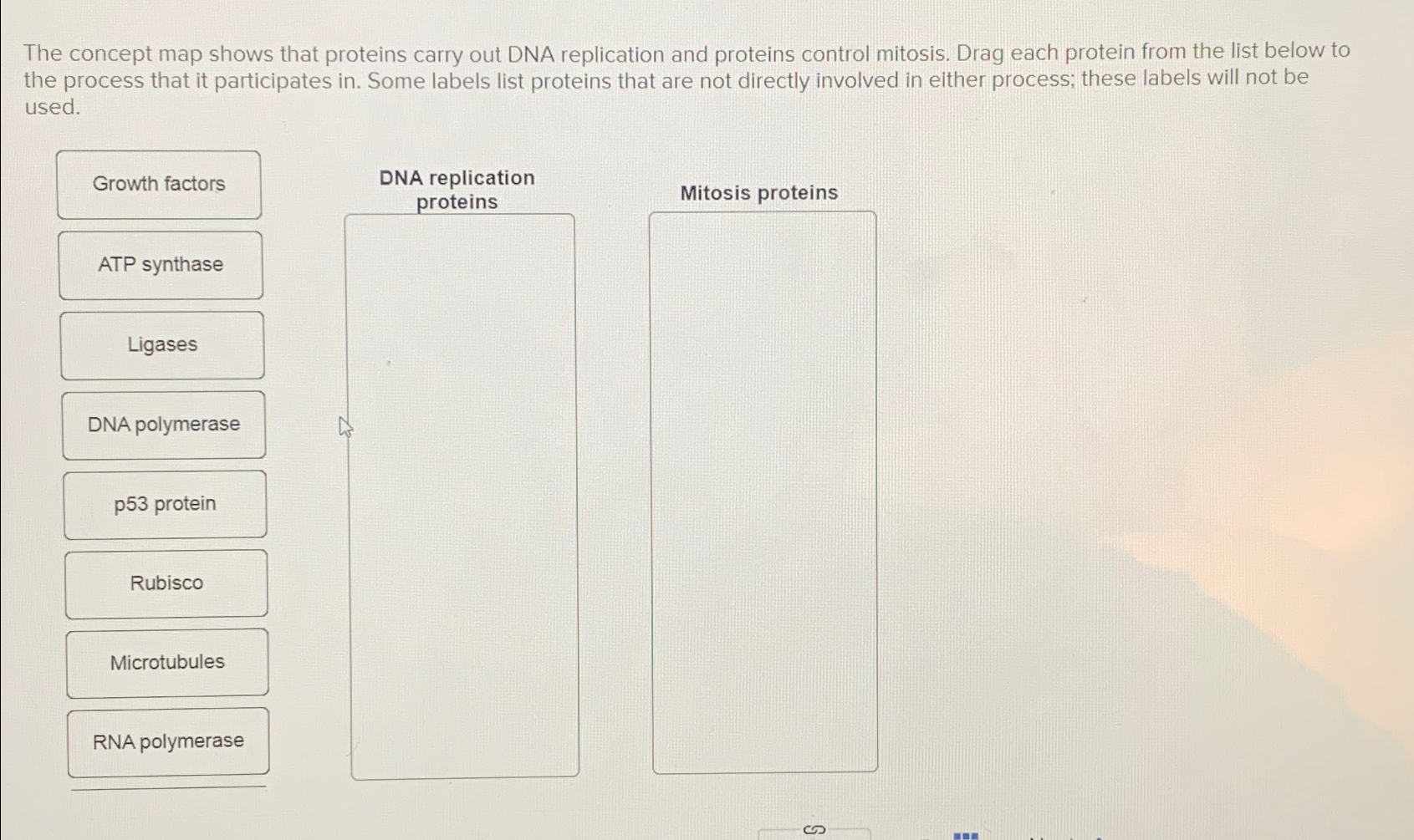 Solved The concept map shows that proteins carry out DNA | Chegg.com