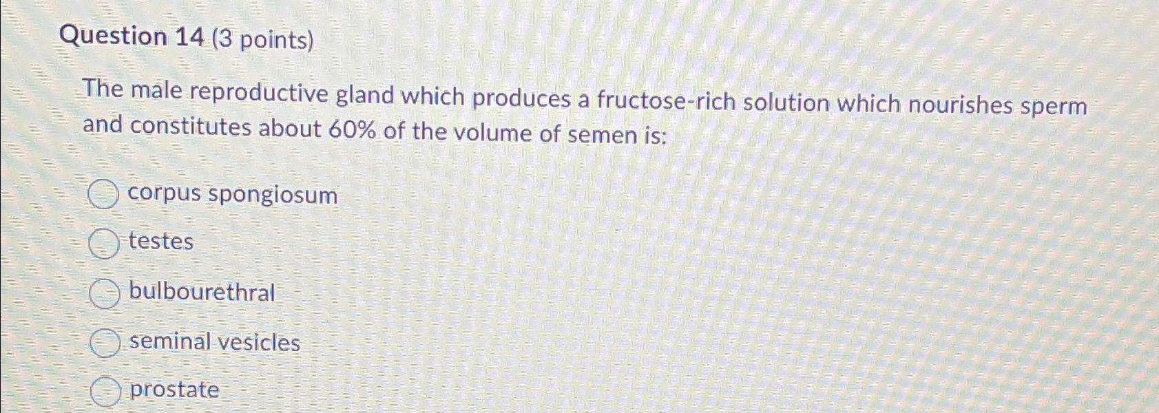 Solved Question 14 (3 ﻿points)The male reproductive gland | Chegg.com