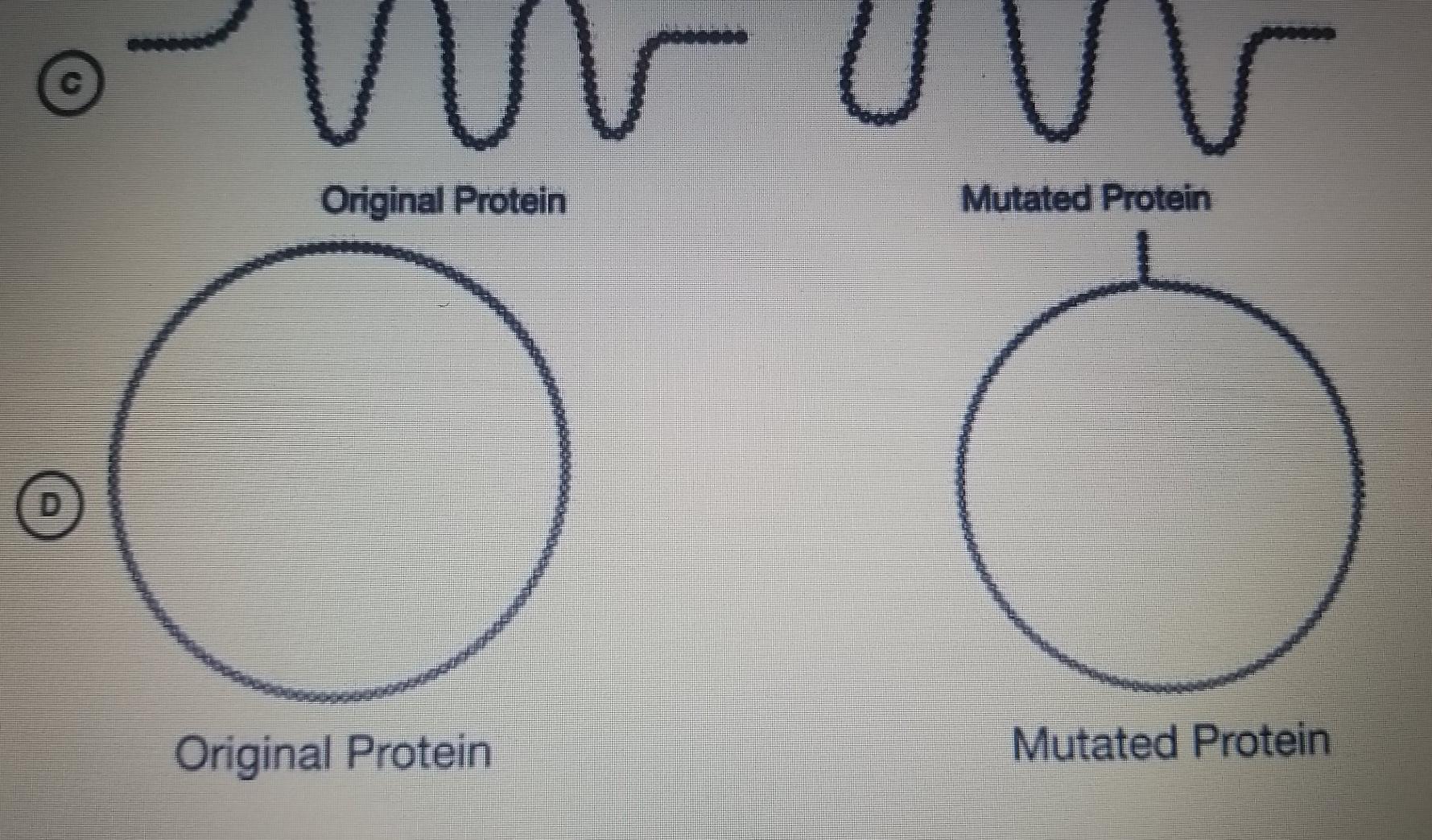 A small protein is composed of 110 amino acids linked