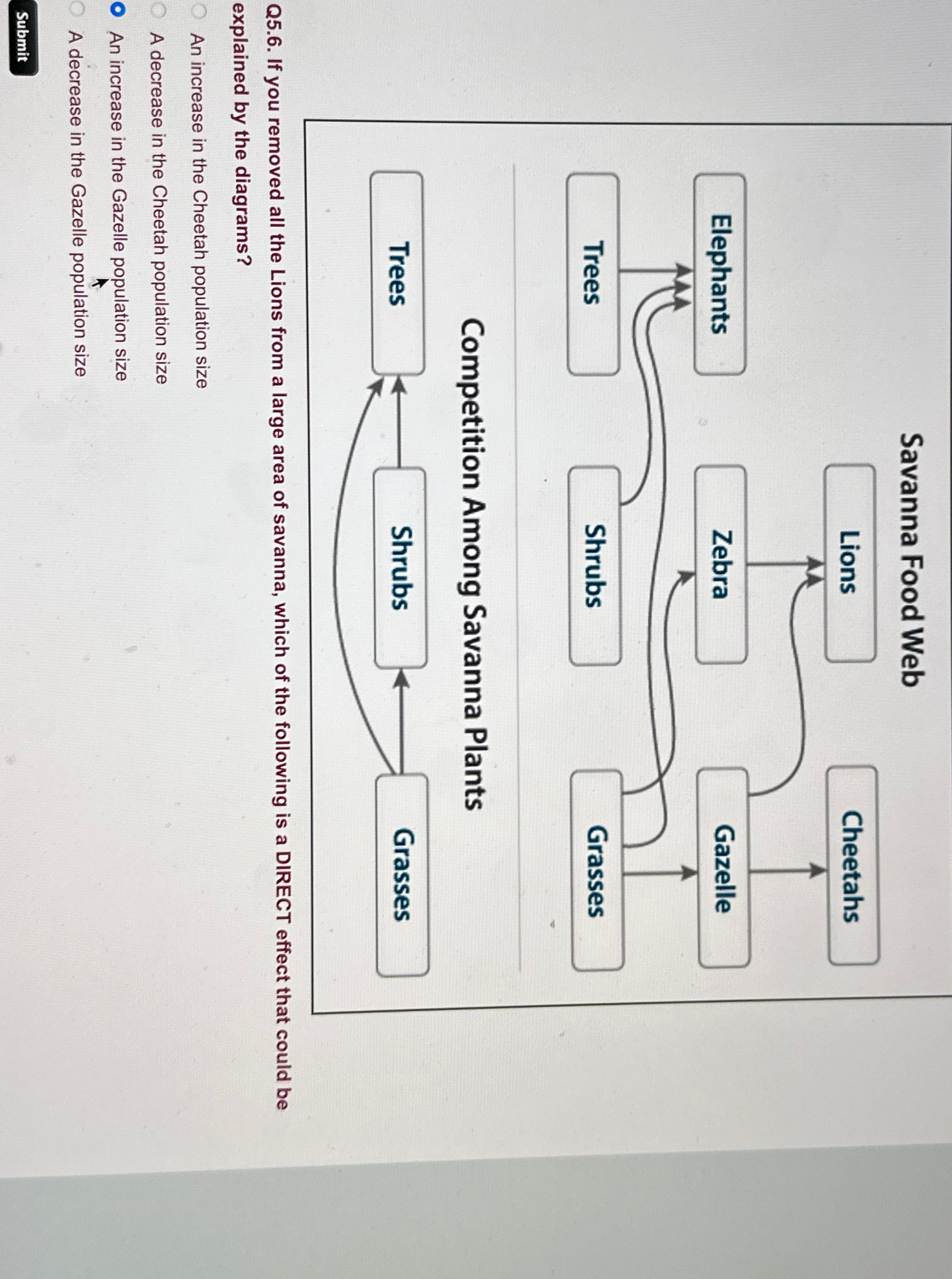 Solved Savanna Food WebCompetition Among Savanna PlantsQ5.6. Biology Diagrams