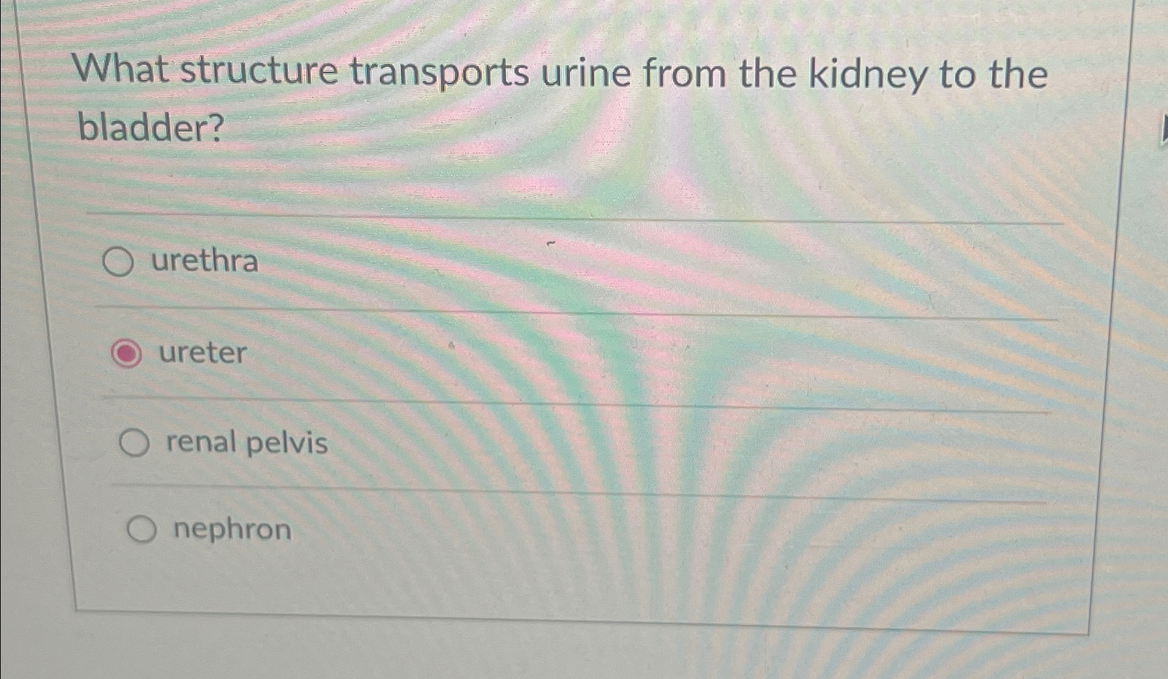 Solved What structure transports urine from the kidney to | Chegg.com