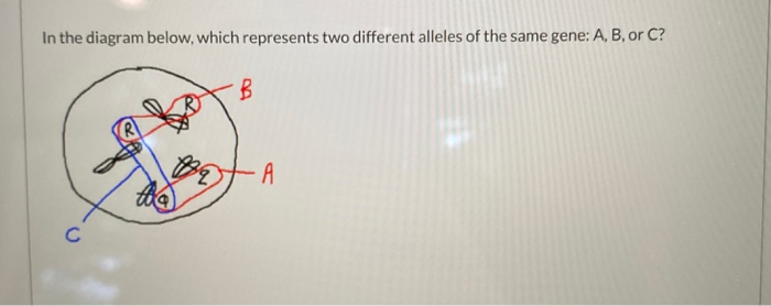 Solved In The Diagram Below, Which Represents Two Different | Chegg.com