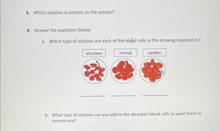 Solved 1. Describe the difference between diffusion and | Chegg.com